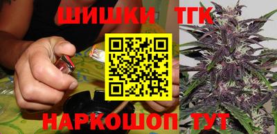 спайс Кингисепп