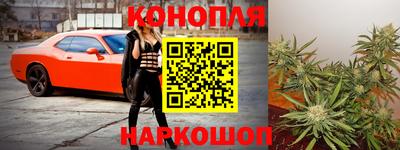 стафф Кандалакша